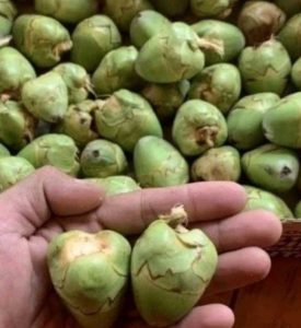 Tembuluk Kelapa Muda Mujarab Turunkan Gula Darah: Petua Tradisional Yang Semakin Dilupakan