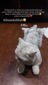 “Dia Nampak Lesu Ketika Ditemui… Macam Ada Yang Disembunyikan!” Bella Astillah Akhirnya Umum Berita Gembira, Ini Keadaan Minho Selepas Ditemui
