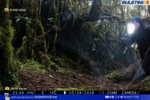 “Tengok Rakaman Ini, Rasa Rindu Sangat… Mana Ibu, Kenapa Tak Balik Lagi?” Jaslinda Ditemui Hidup, Pasukan SAR Buka Rahsia Detik Terakhir Di Gunung Batu Putih